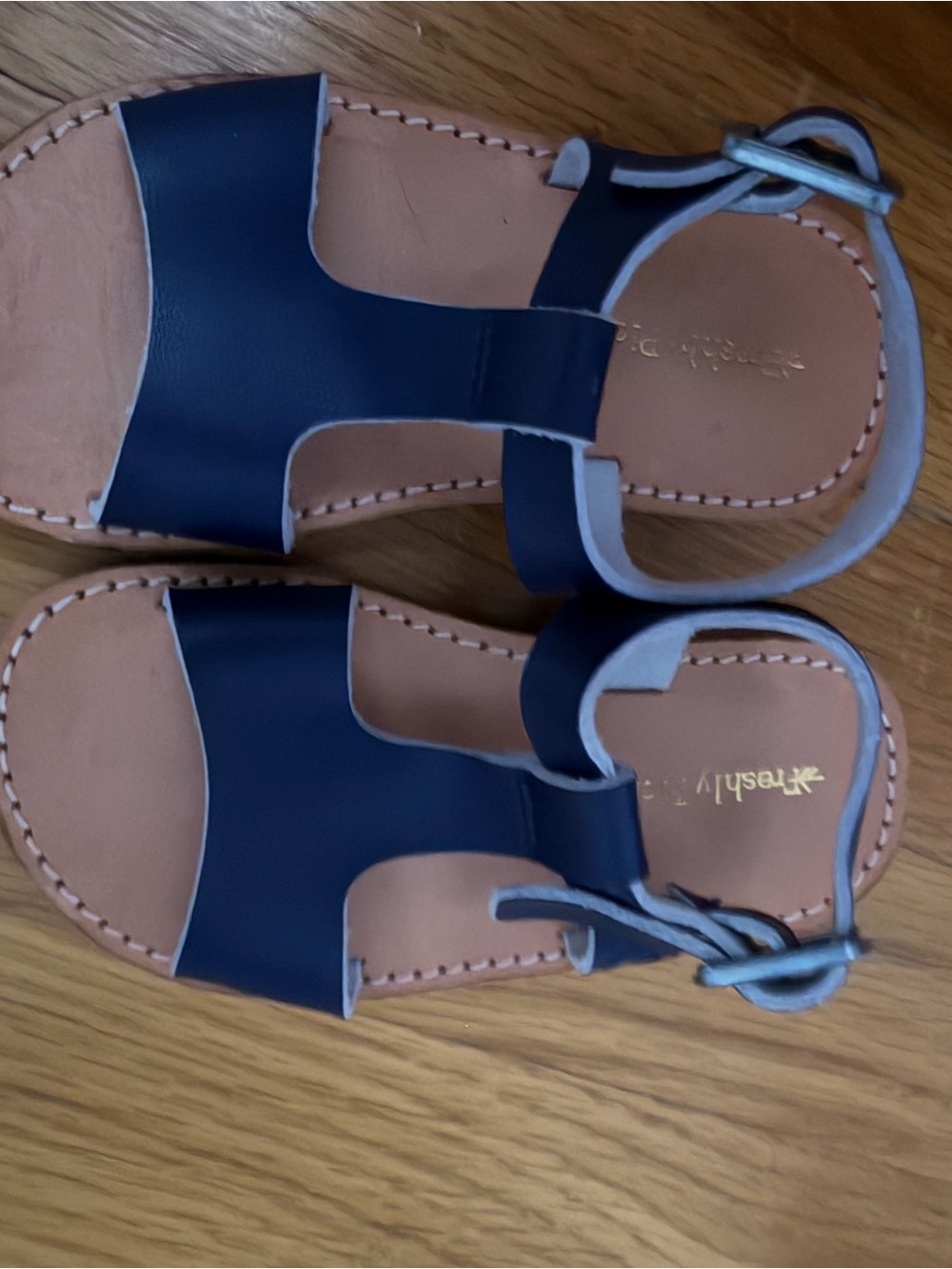 Freshly Picked- Navy Leather Strap Sandals with Tan Insole
